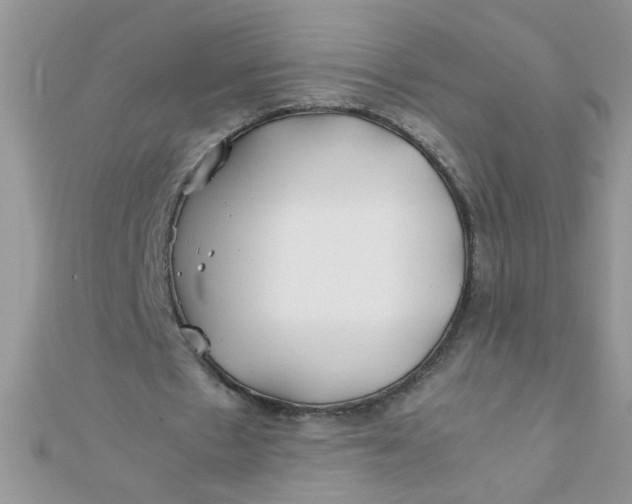 X0000112370481200909031934