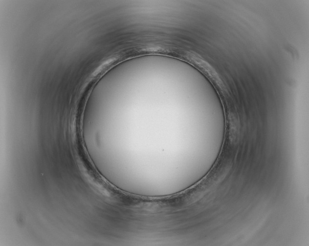 X0000112370482200909031934