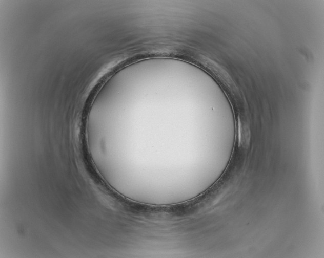 X0000112370483200909031934