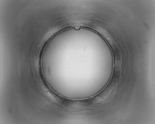 X0000112370485200909031934