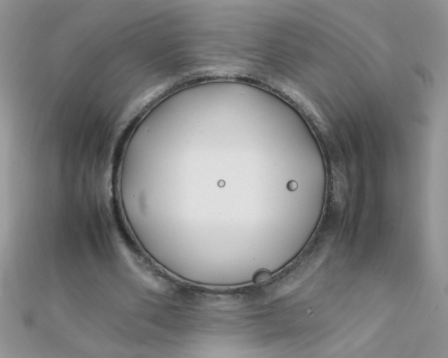 X0000112370486200909031934