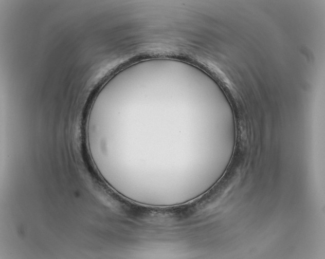 X0000112370487200909031934