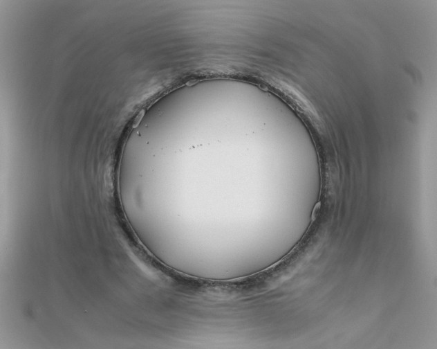 X0000112370489200909031934