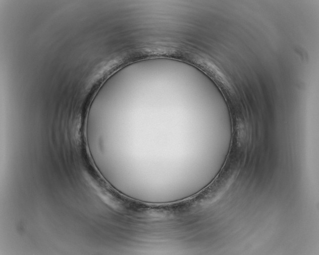 X0000112370490200909031934