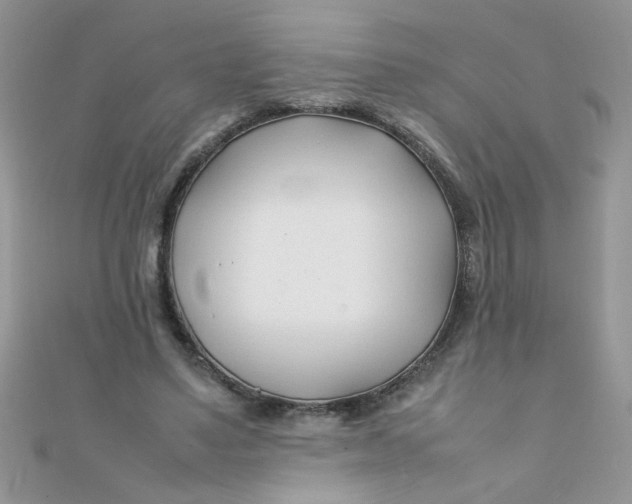 X0000112370491200909031934
