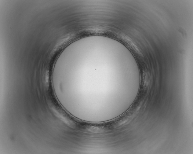 X0000112370494200909031934