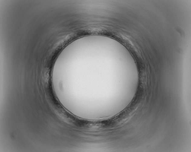 X0000112370495200909031934