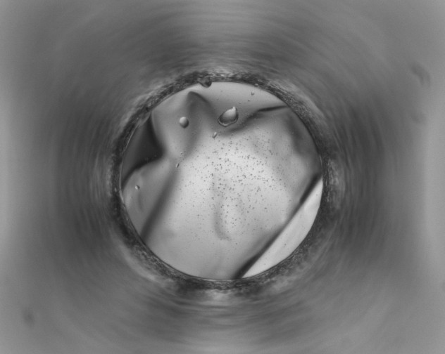 X0000112370496200909031934