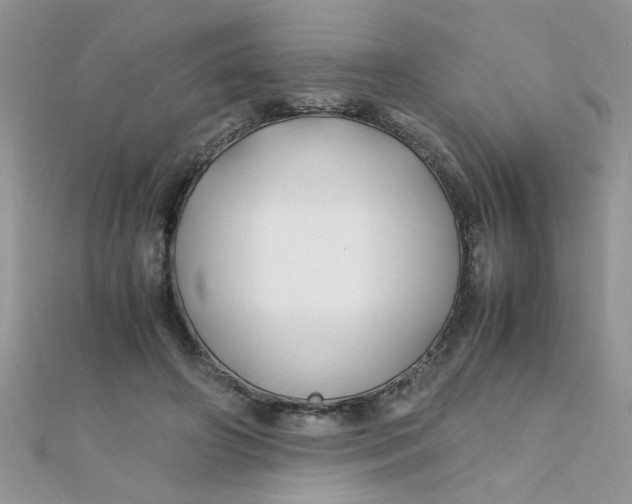 X0000112370498200909031934