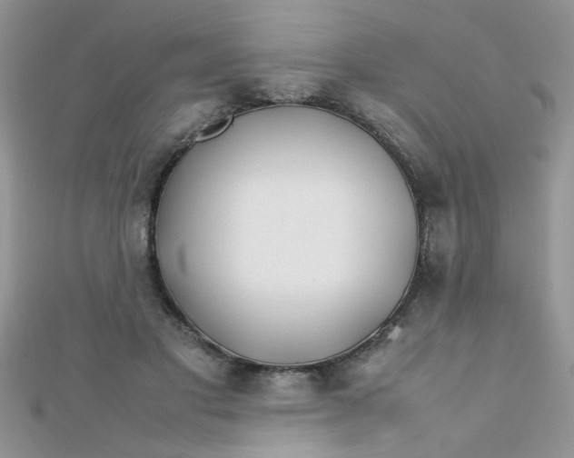 X0000112370501200909031934