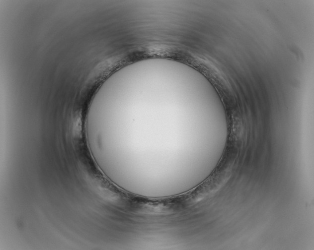 X0000112370502200909031934
