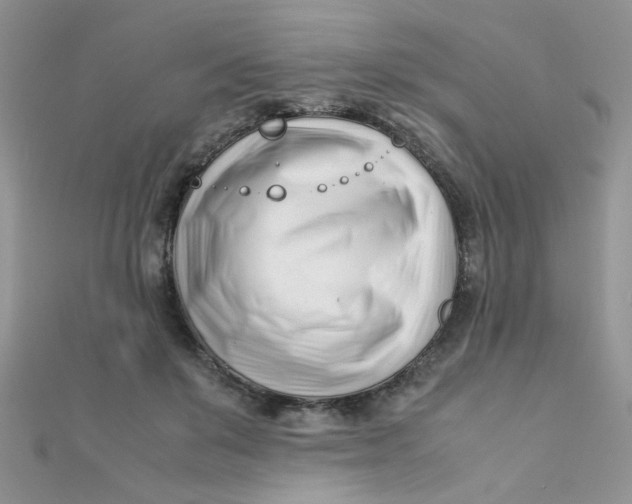 X0000112370503200909031934