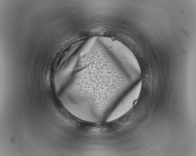 X0000112370504200909031934