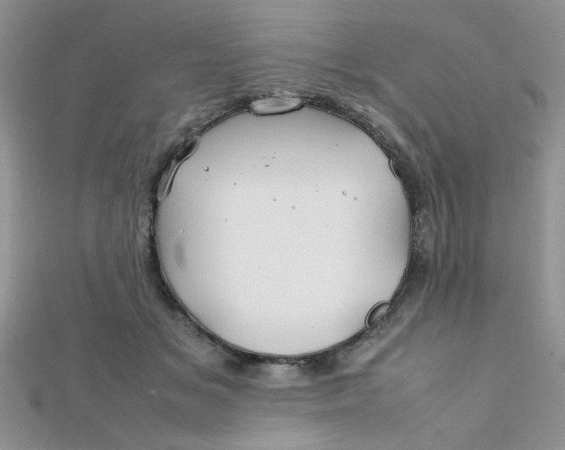 X0000112370509200909031934