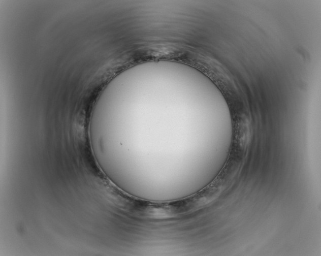 X0000112370510200909031934