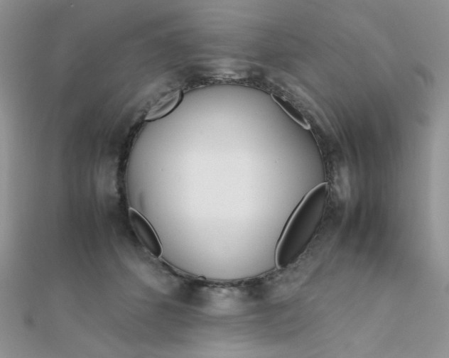 X0000112370512200909031934
