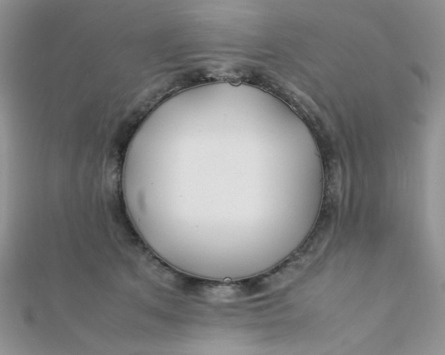 X0000112370513200909031934