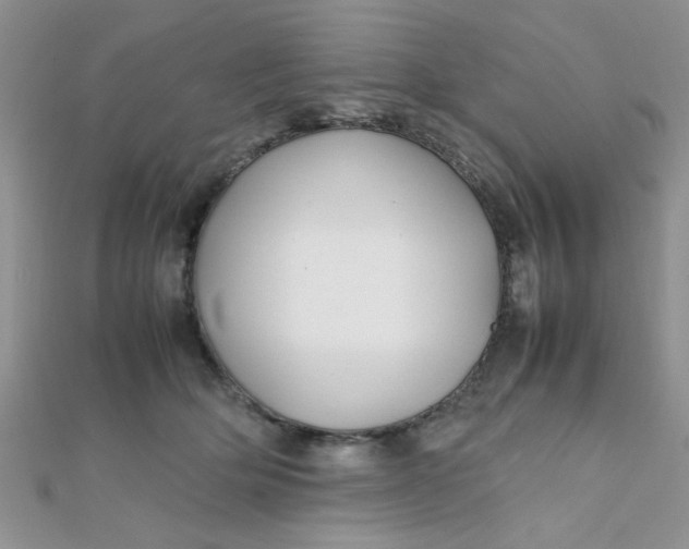 X0000112370514200909031934