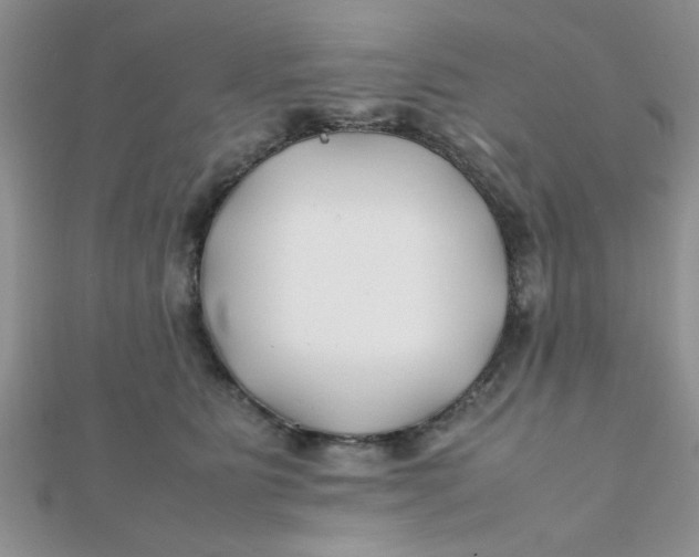 X0000112370515200909031934