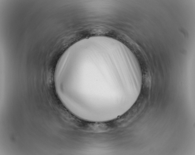 X0000112370517200909031934