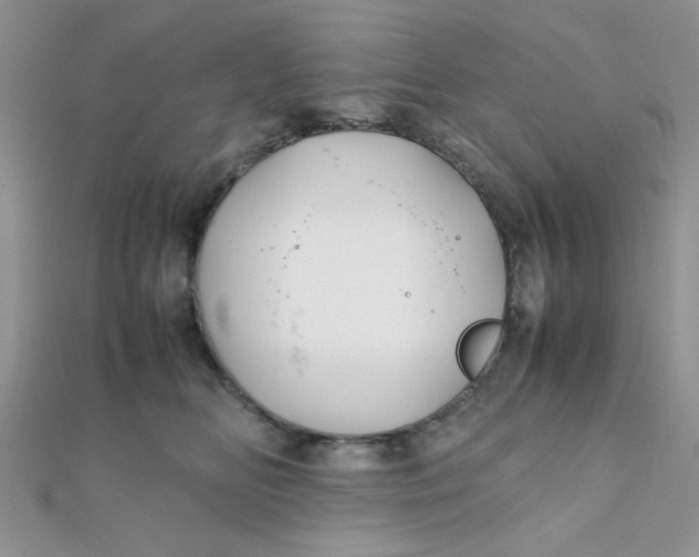 X0000112370518200909031934