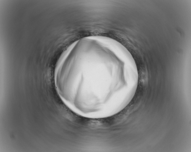 X0000112370519200909031934