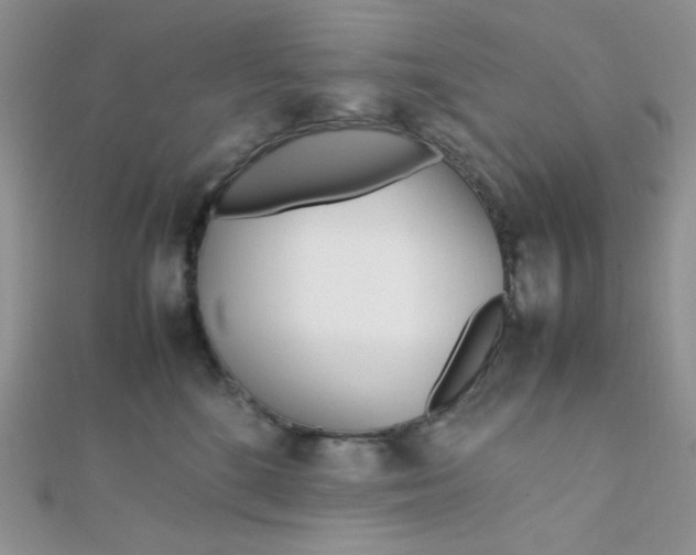 X0000112370520200909031934