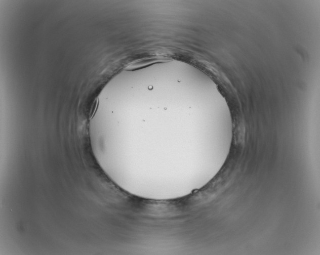X0000112370521200909031934
