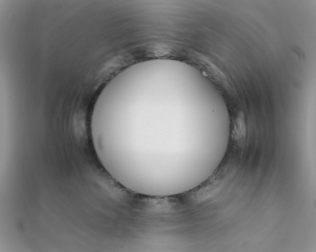 X0000112370524200909031934