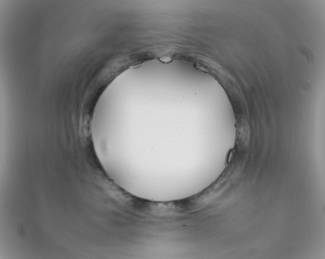 X0000112370525200909031934