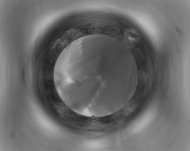 X0000112370526200909031934