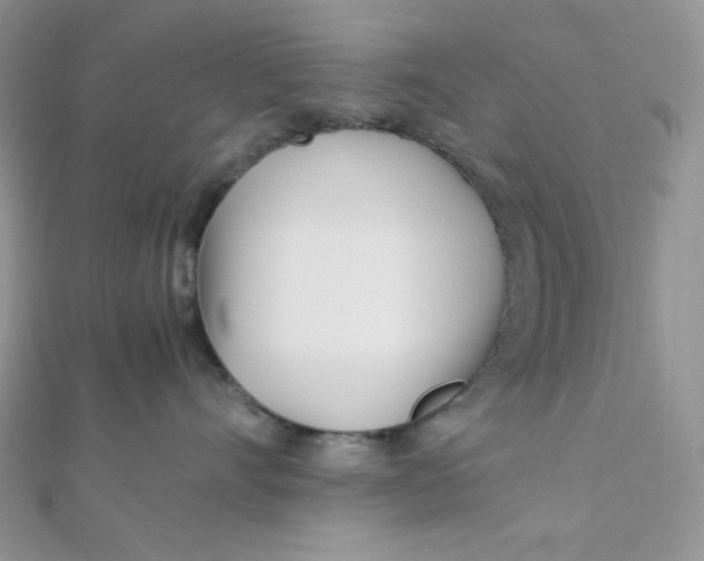 X0000112370528200909031934