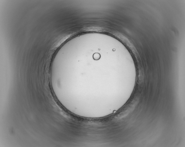 X0000112370529200909031933