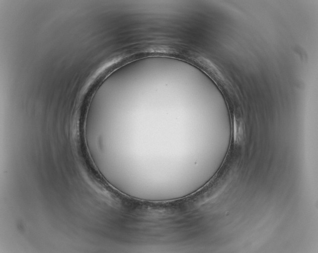 X0000112370531200909031933
