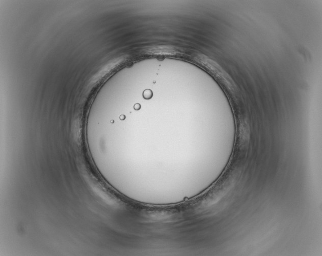 X0000112370533200909031933