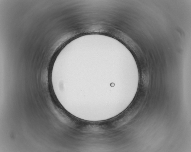 X0000112370534200909031933