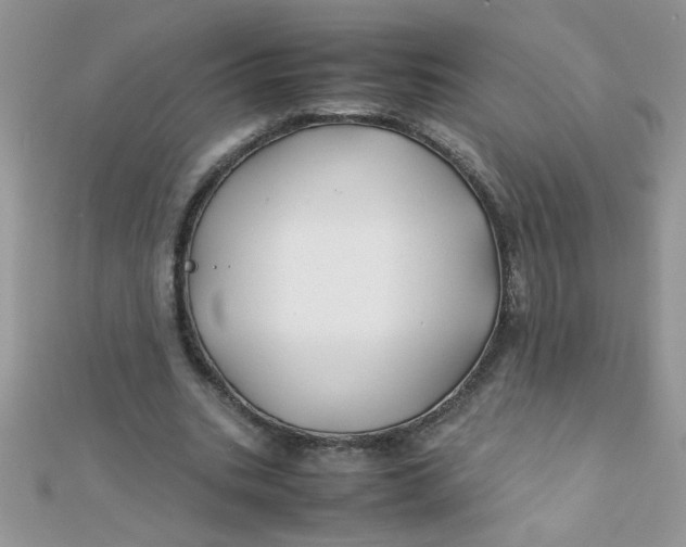 X0000112370535200909031933