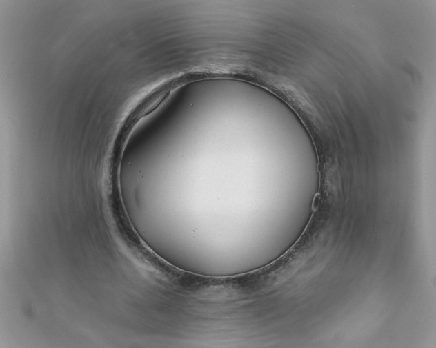 X0000112370536200909031933