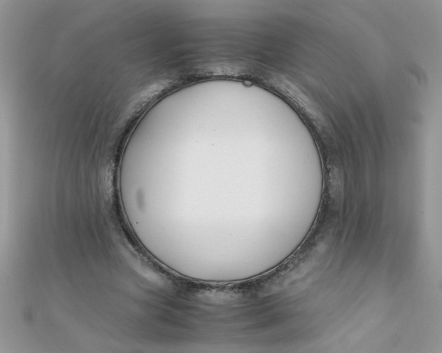 X0000112370537200909031933