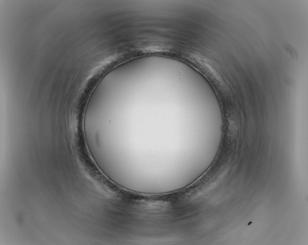 X0000112370539200909031933
