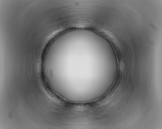 X0000112370540200909031933