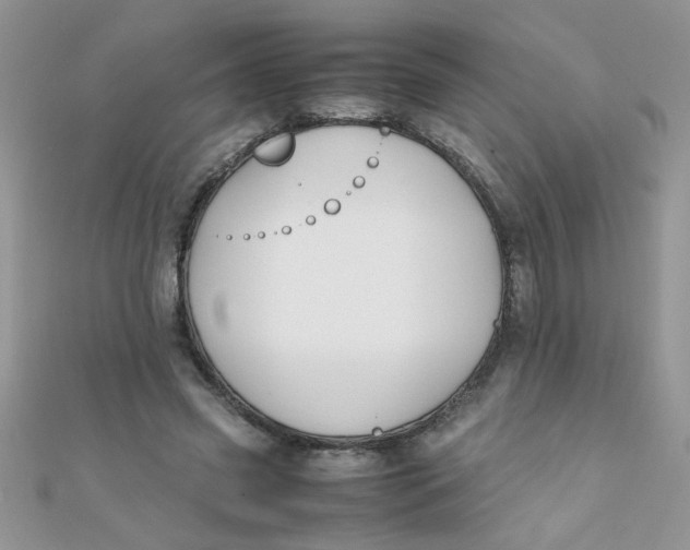 X0000112370541200909031933