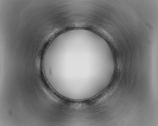 X0000112370542200909031933