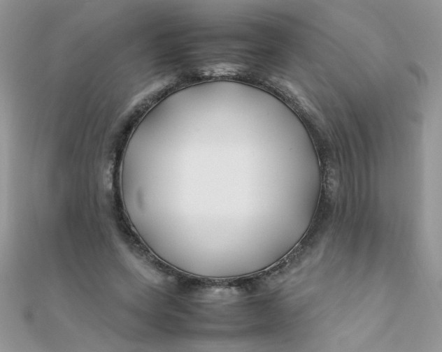 X0000112370543200909031933