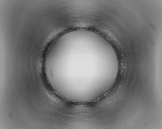 X0000112370544200909031933