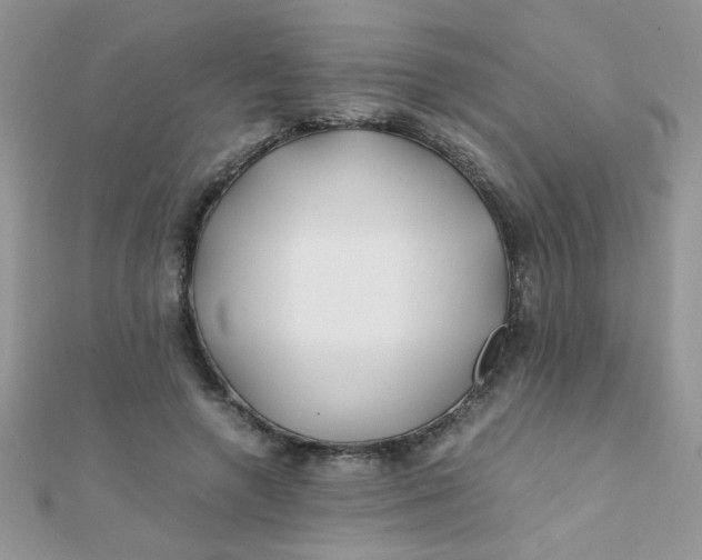 X0000112370546200909031933