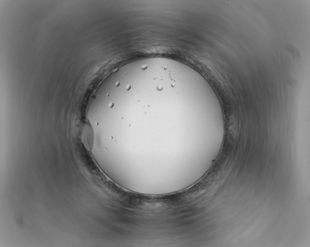 X0000112370547200909031933