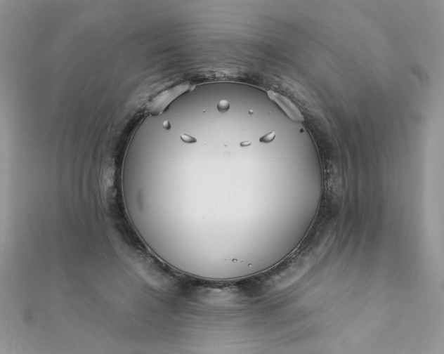 X0000112370548200909031933