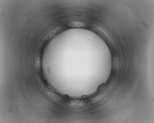 X0000112370549200909031933