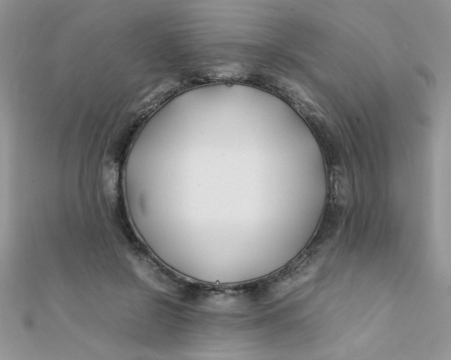 X0000112370550200909031933